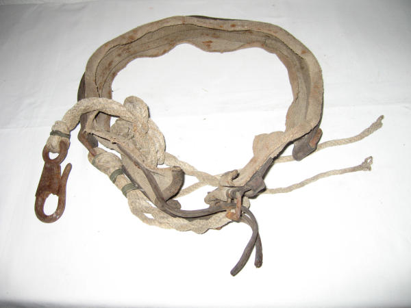 Cintura